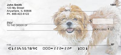 Snowbound Shih Tzus