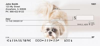 Snowbound Shih Tzus