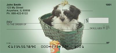 Basket of Shih Tzus