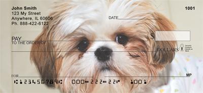 Adorable Shih Tzus