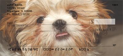 Adorable Shih Tzus