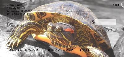 Red-Eared Slider Turtle