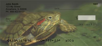 Red-Eared Slider Turtle