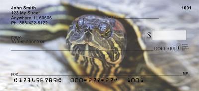 Red-Eared Slider Turtle