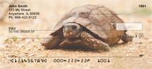 Desert Turtle