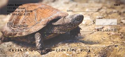 Desert Turtle