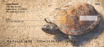 Desert Turtle