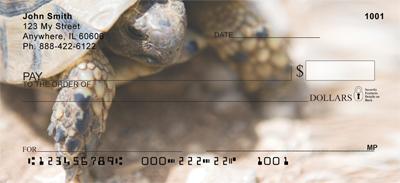 Desert Turtle