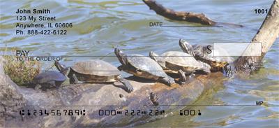 Water-Logged Turtles