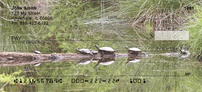 Water-Logged Turtles