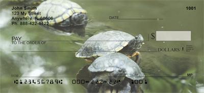 Water-Logged Turtles