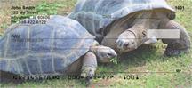 Turtle Chat