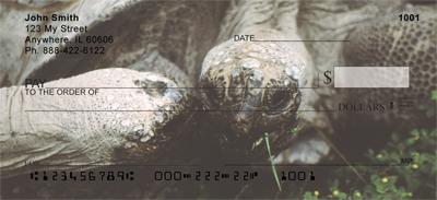 Turtle Chat