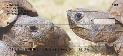Turtle Chat