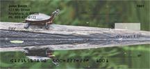 Curious Turtles