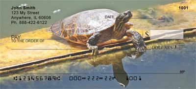 Curious Turtles