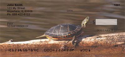 Curious Turtles