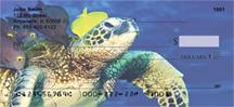 Sea Turtles