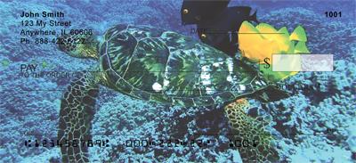 Sea Turtles