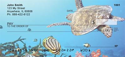 Sea Turtles