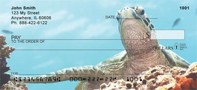Sea Turtles