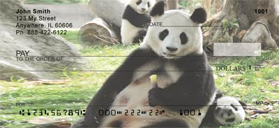 Panda Family