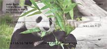 Panda Snack Time