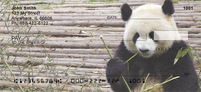 Panda Snack Time