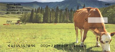 Grazing Cows