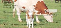 Cow And Calf
