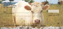 White Cows