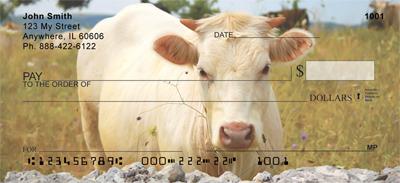 White Cows
