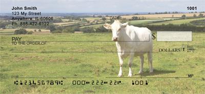 White Cows