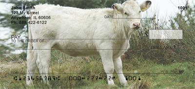 White Cows