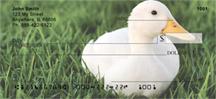 White Ducks