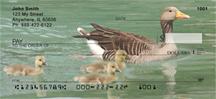 Duck Families