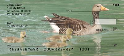 Duck Families