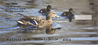 Duck Families