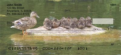 Duck Families