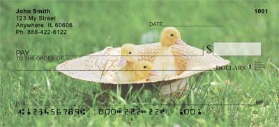 Cute Ducklings