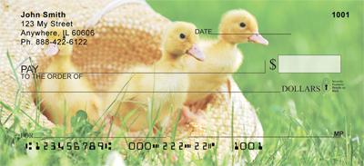 Cute Ducklings