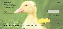 Darling Duckling