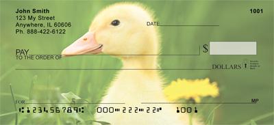 Darling Duckling