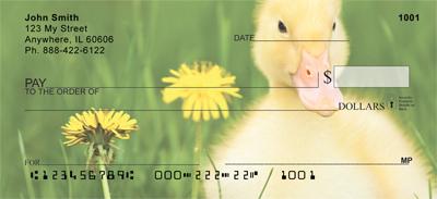 Darling Duckling
