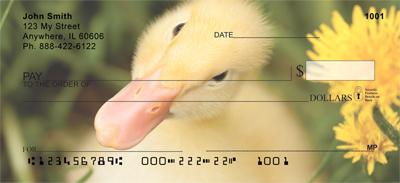 Darling Duckling