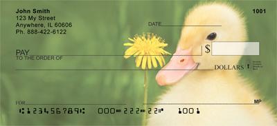 Darling Duckling