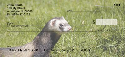 Ferrets In The Grass