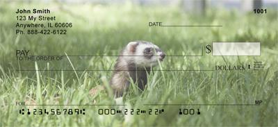 Ferrets In The Grass