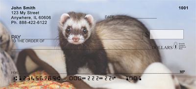 Silly Ferrets
