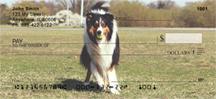 Cute Collies